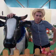 ���������� ��������, ���� ������� ������ �����, 41 ���, ������������ 