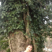 ���������� ������, ���� ������� ������, 36 ���, ������������ ��� ������