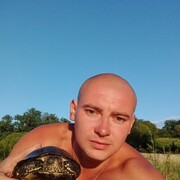  ,   Scorpion, 38 ,  