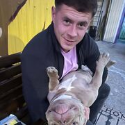 ���������� ���������, ���� ������� ������, 38 ���, ������������ ��� ����� � ���������, c�������� ���������