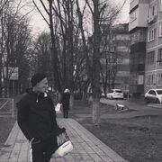  --,   , 31 ,   ,   , c , 