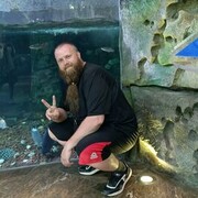 ���������� �����������-��-�����, ���� ������� �������, 36 ���, ������������ ��� ������, ����� � ���������, c�������� ���������