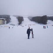 ���������� ��������, ���� ������� ������, 46 ���, ������������ ��� c�������� ���������