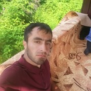  ,   Sherdil, 33 ,   ,   