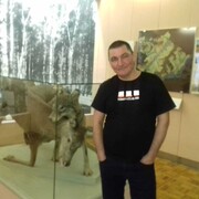 ���������� �������, ���� ������� �����, 49 ���, ������������ ��� ������, ����� � ���������, c�������� ���������