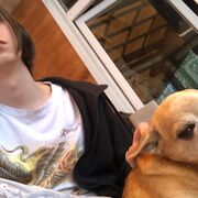 ���������� ������, ���� ������� �����, 28 ���, ������������ ��� ������, ����� � ���������