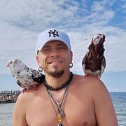 ���������� ������, ���� ������� ������, 48 ���, ������������ ��� ������, ����� � ���������