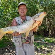  ,  Vladimir, 42