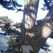  ,   , 49 ,   ,   , c 