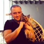 ���������� ���������, ���� ������� ������, 38 ���, ������������ ��� ������, ����� � ���������, c�������� ���������, ���������