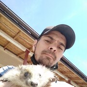 ���������� �����������, ���� ������� �������, 40 ���, ������������ ��� ������, ����� � ���������