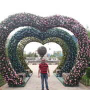 ���������� �����������, ���� ������� ����, 42 ����, ������������ ��� ������, ����� � ���������