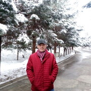 ���������� ������, ���� ������� �����, 41 ���, ������������ ��� ������, ����� � ���������