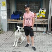  ,  Boburshox, 31