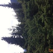 ���������� �����������, ���� ������� ����, 39 ���, ������������ 