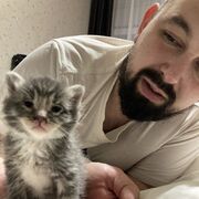 ���������� �����-���������, ���� ������� ��������, 39 ���, ������������ ��� ������, ����� � ���������, c�������� ���������, ���������