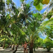 ���������� ��������-��-������, ���� ������� ����, 61 ���, ������������ ��� ������, ����� � ���������, c�������� ���������