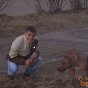  ,   , 36 ,   
