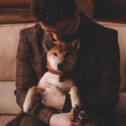 ���������� �������, ���� ������� ����, 31 ���, ������������ ��� ������, ����� � ���������, c�������� ���������