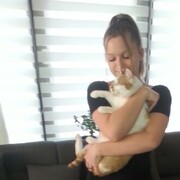  ,   , 21 ,   ,   , c 