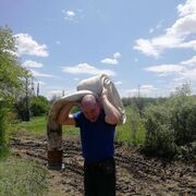  ,   , 43 ,   ,   