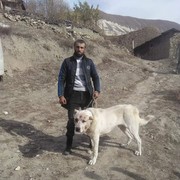  ,   , 33 ,     , c , 
