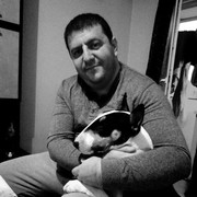 ���������� ����, ���� ������� ����, 43 ����, ������������ ��� ������, ����� � ���������, c�������� ���������