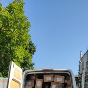 ���������� �������, ���� ������� Vasea, 33 ����, ������������ ��� ������, ����� � ���������