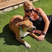  Barcelona,   , 36 ,     , c 