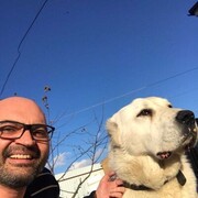 ���������� ����, ���� ������� Ieo, 45 ���, ������������ ��� ������, ����� � ���������