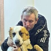 ���������� ����, ���� ������� ����������, 46 ���, ������������ ��� ����� � ���������, c�������� ���������