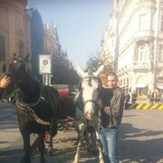 ���������� �����-���������, ���� ������� �������, 39 ���, ������������ ��� ������, ����� � ���������, c�������� ���������