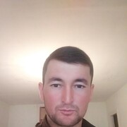 ���������� �����-���������, ���� ������� ������, 33 ����, ������������ ��� ������, ����� � ���������, c�������� ���������, ���������