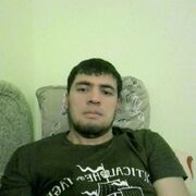 ���������� ������, ���� ������� Sardor, 30 ���, ������������ ��� ������, ����� � ���������