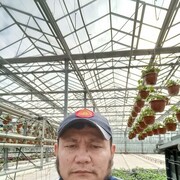  -,   , 41 ,   ,   