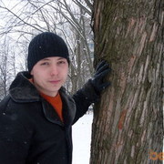  ,   MAXIM, 35 ,  