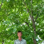 ���������� ������-��-����, ���� ������� ������, 37 ���, ������������ ��� ������, ����� � ���������