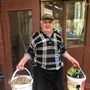 ���������� ����������, ���� ������� ����, 87 ���, ������������ ��� ������, ����� � ���������