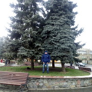  ,   , 41 ,   ,   , c , 