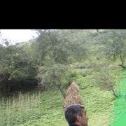  ,   Adam, 53 ,   ,   