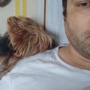 ���������� �����������, ���� ������� ����������, 40 ���, ������������ ��� ����� � ���������, c�������� ���������