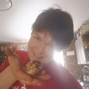 � ����������