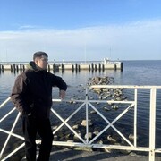 ���������� �����-���������, ���� ������� ��������, 38 ���, ������������ ��� ����� � ���������, c�������� ���������