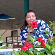 ���������� ��������, ���� ������� ��������, 43 ����, ������������ 