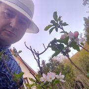  ,   , 41 ,   ,   