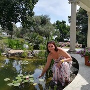 ���������� ���������, ���� ������� �������, 44 ����, ������������ ��� c�������� ���������