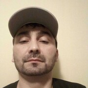  -,   , 41 ,  