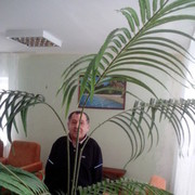   ,   , 64 ,   