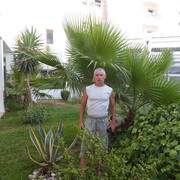  ,   , 60 ,   ,   , c , 