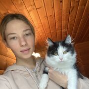  ,   , 28 ,  